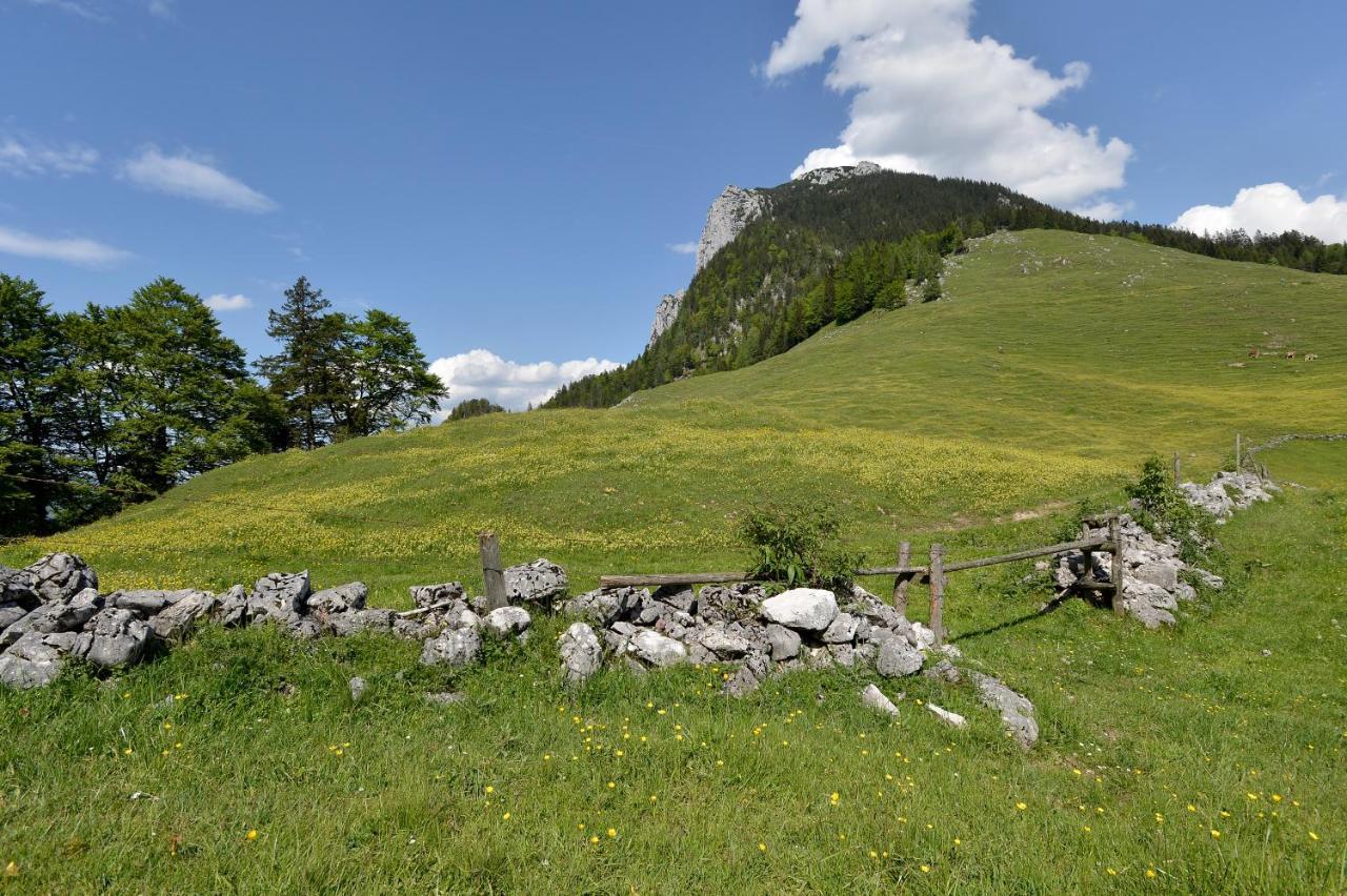 Ritzau Alm Ξενοδοχείο Ebbs Εξωτερικό φωτογραφία