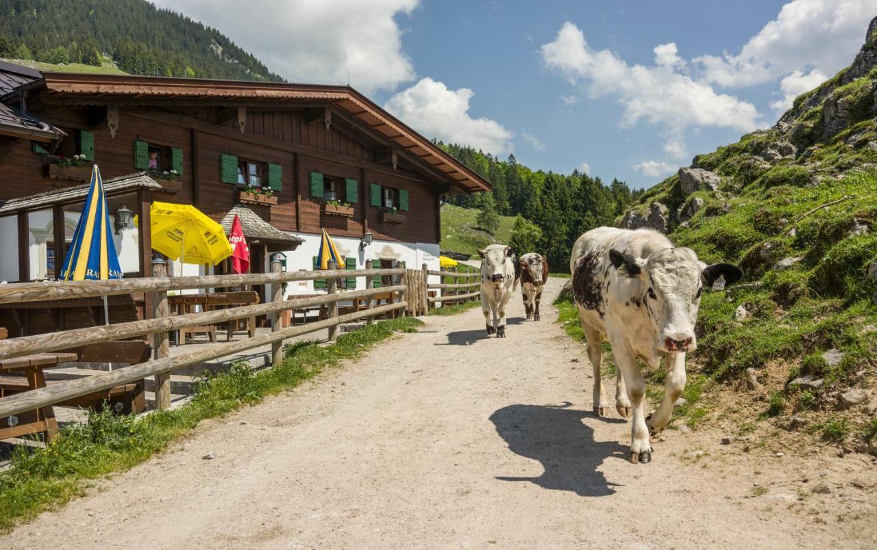 Ritzau Alm Ξενοδοχείο Ebbs Εξωτερικό φωτογραφία